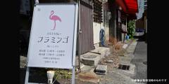 flamingo_03