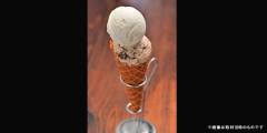 woodvillageicecream_01