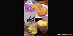 i_labo_oimo_02